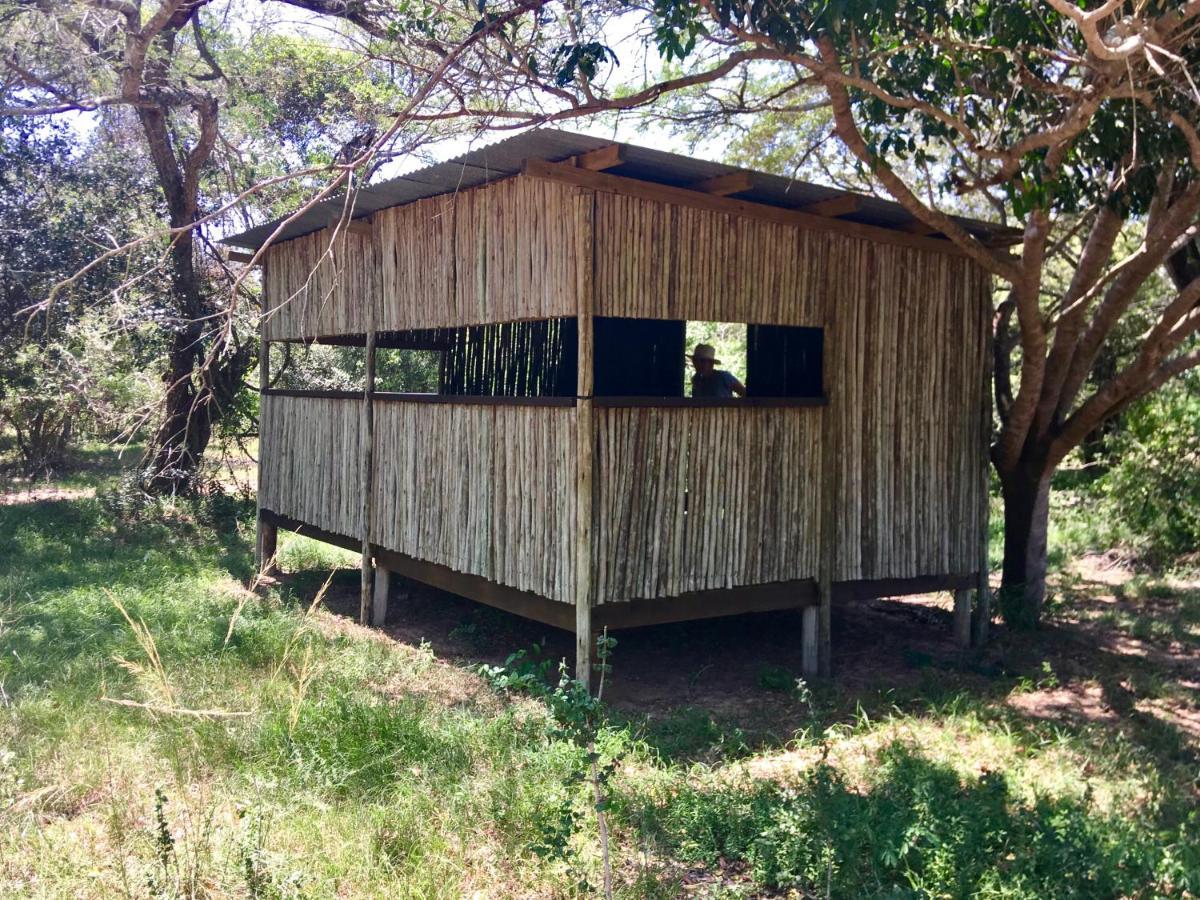 Imani Bush House & Silver Sky Chalet Hluhluwe Buitenkant foto