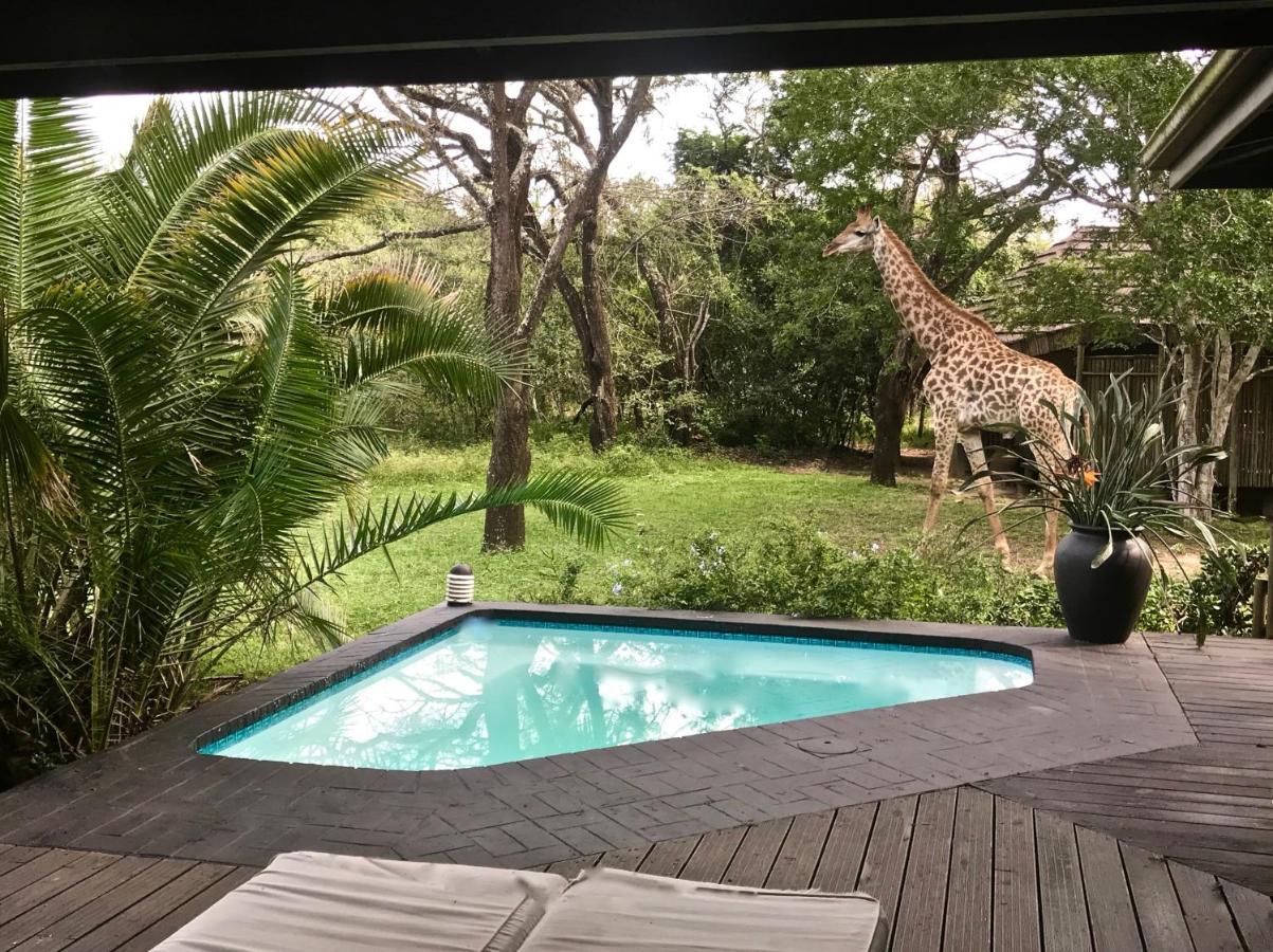 Imani Bush House & Silver Sky Chalet Hluhluwe Buitenkant foto