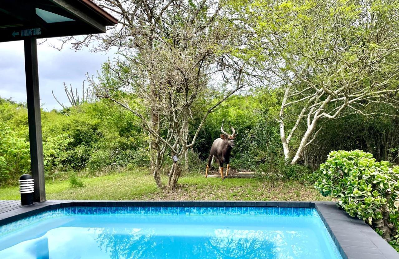 Imani Bush House & Silver Sky Chalet Hluhluwe Buitenkant foto